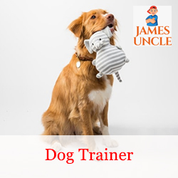 Dog trainer Mr. Sandip Das in Rabindra Nagar